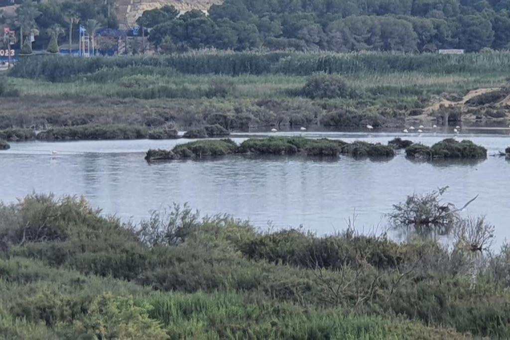 Encantador Relajante Naturista Torremar Vera Playa Εξωτερικό φωτογραφία